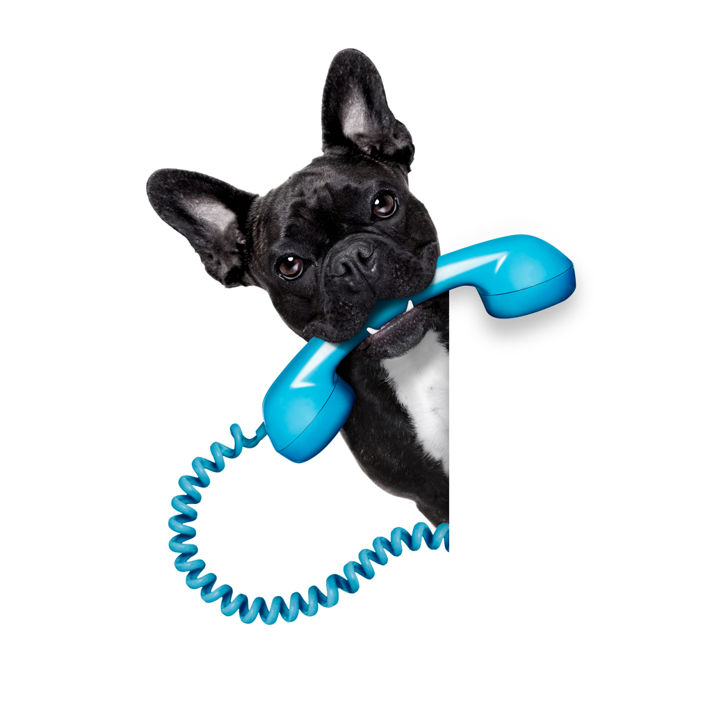 dog telephone